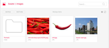Icon view