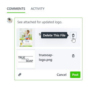 delete this file button