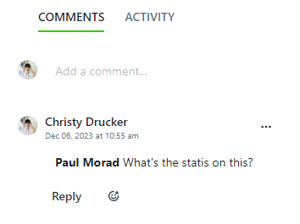 Comments panel