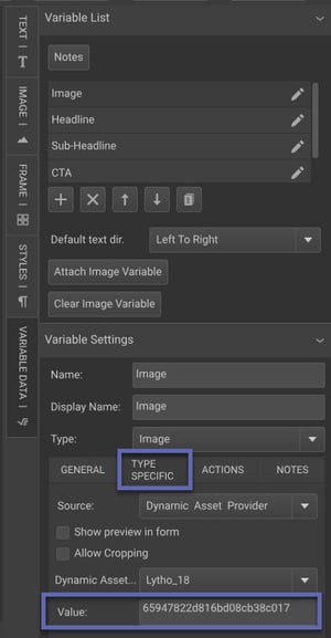 Type Specific tab