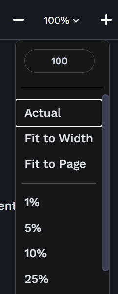 zoom settingsZoom Tool