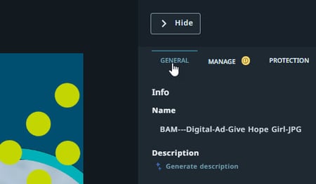 General tab
