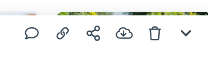 Edit bar