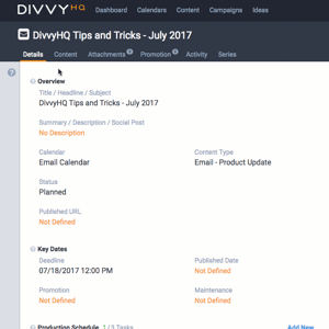 Details tab
