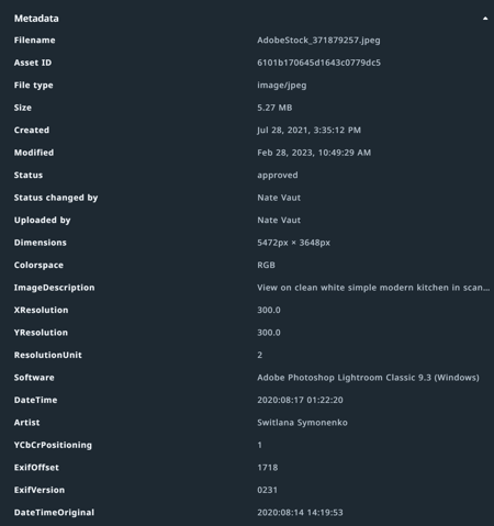Asset metadata