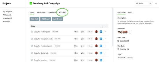 Request tab