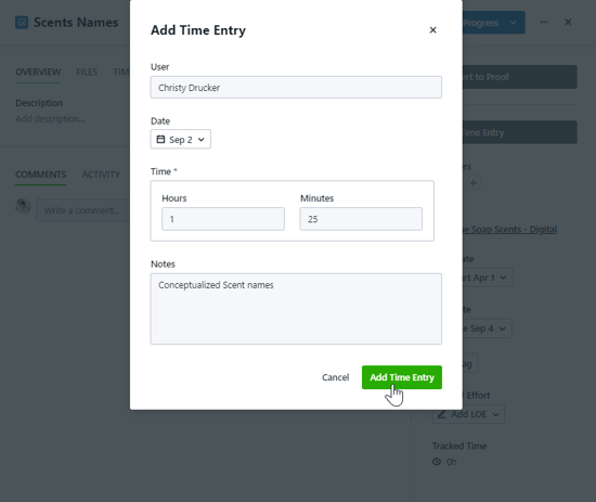 Add Time Entry button