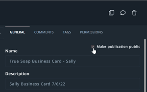 Make publication public checkbox
