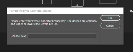 license key field