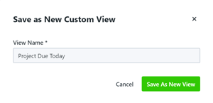 Save As New View button