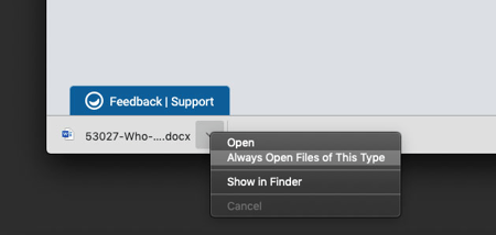always open files of this type option