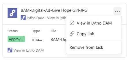 Overflow menu options