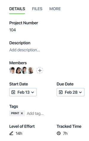 Details tab