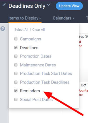 Displaying Reminders on the Calendar Interface