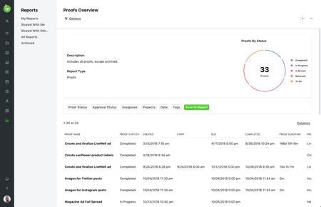 Data Visualizations in Reports