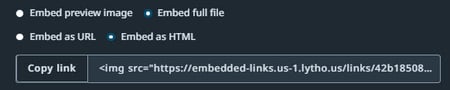 Full file embed link options