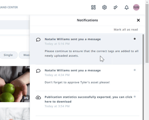 Notification example