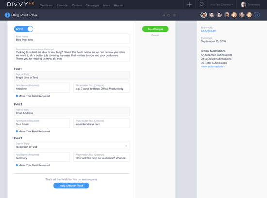 form details - edit mode