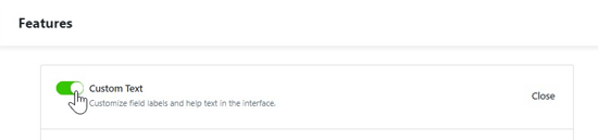 Custom Text toggle