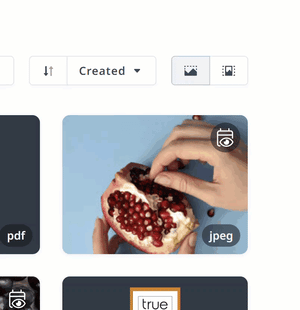 Thumbnail View