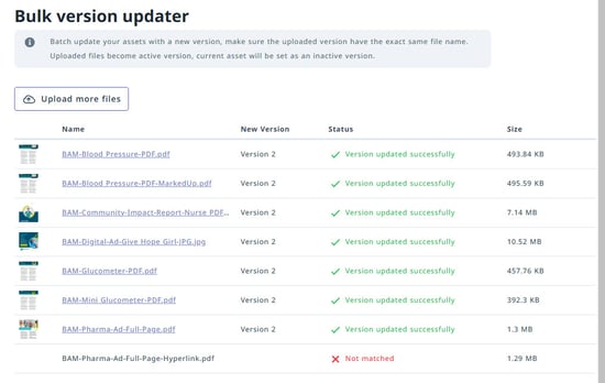 Bulk version updater log