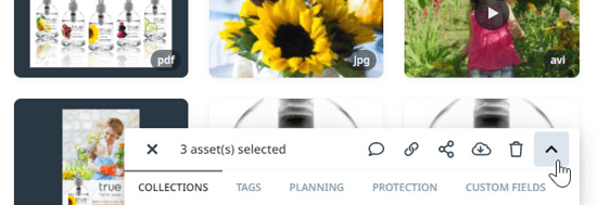 Multi Selecting Assets