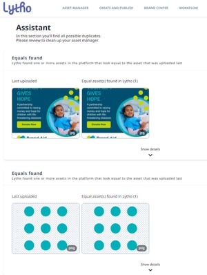 Duplicates Assistant panel