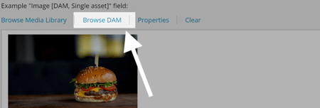 browse DAM button