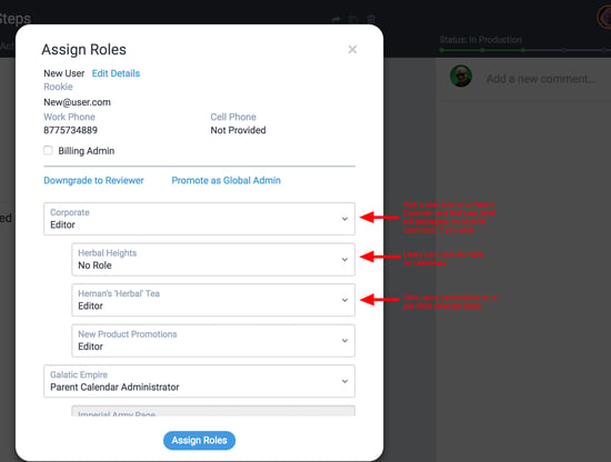 Assigning role details