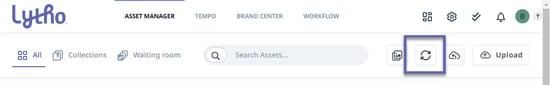 Bulk version updater button