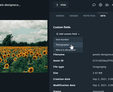 Add custom field dropdown