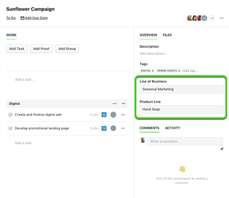 Custom Fields in Project