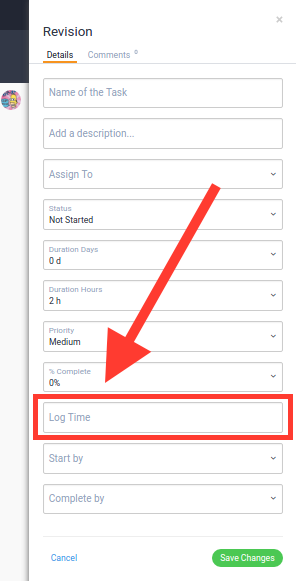 Log Time field