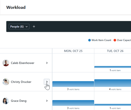 Viewing Individual Work Items in Workload