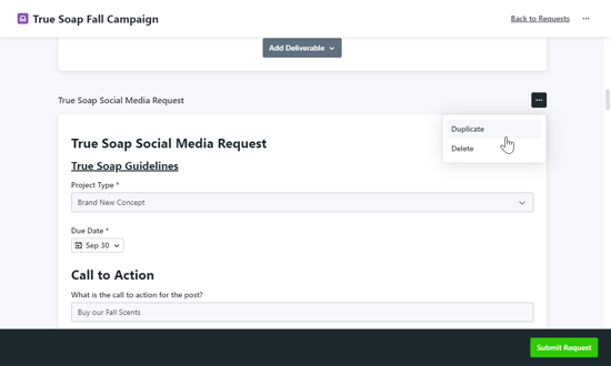 Duplicate button