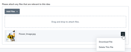 File options