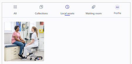 Microsoft Office Local Assets Tab