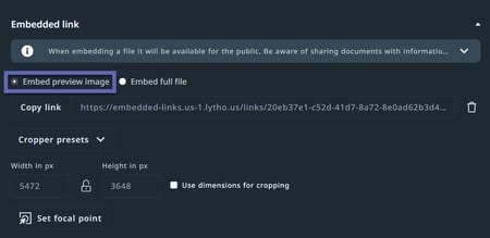 Embed preview image option
