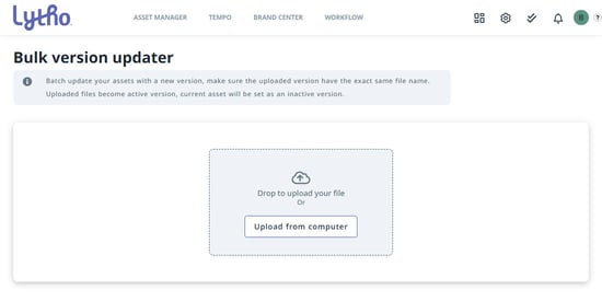 Bulk version updater panel