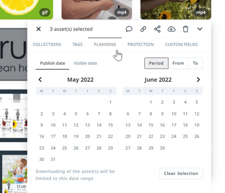 Planning tab