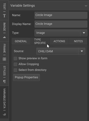 Type Specific tab