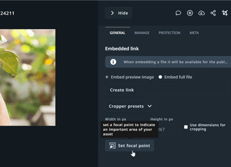 Set focal point button