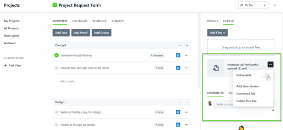 Identifying a File as a Deliverable