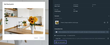 Set Focal Point button