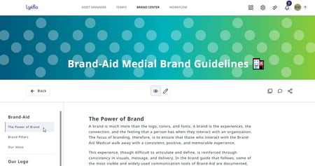individual brand guide