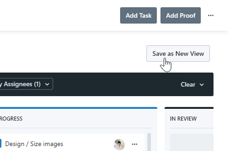 Save as New View button