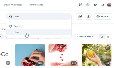 Using the search bar