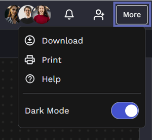 Print option