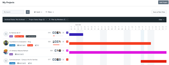 Gantt View - My Projects