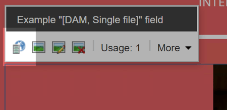 Choose from DAM option